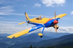 Van's RV-8 1.8m Aerobatics and 3D ARF